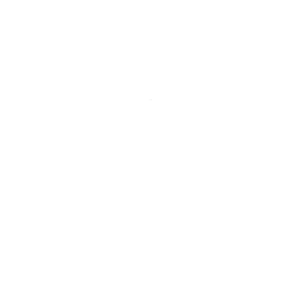 Logo Rising Alternative